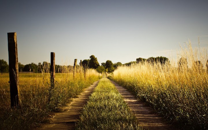 Venta campo ganadero 85 Ha. Costa Uruguay, Gualeguaychu.